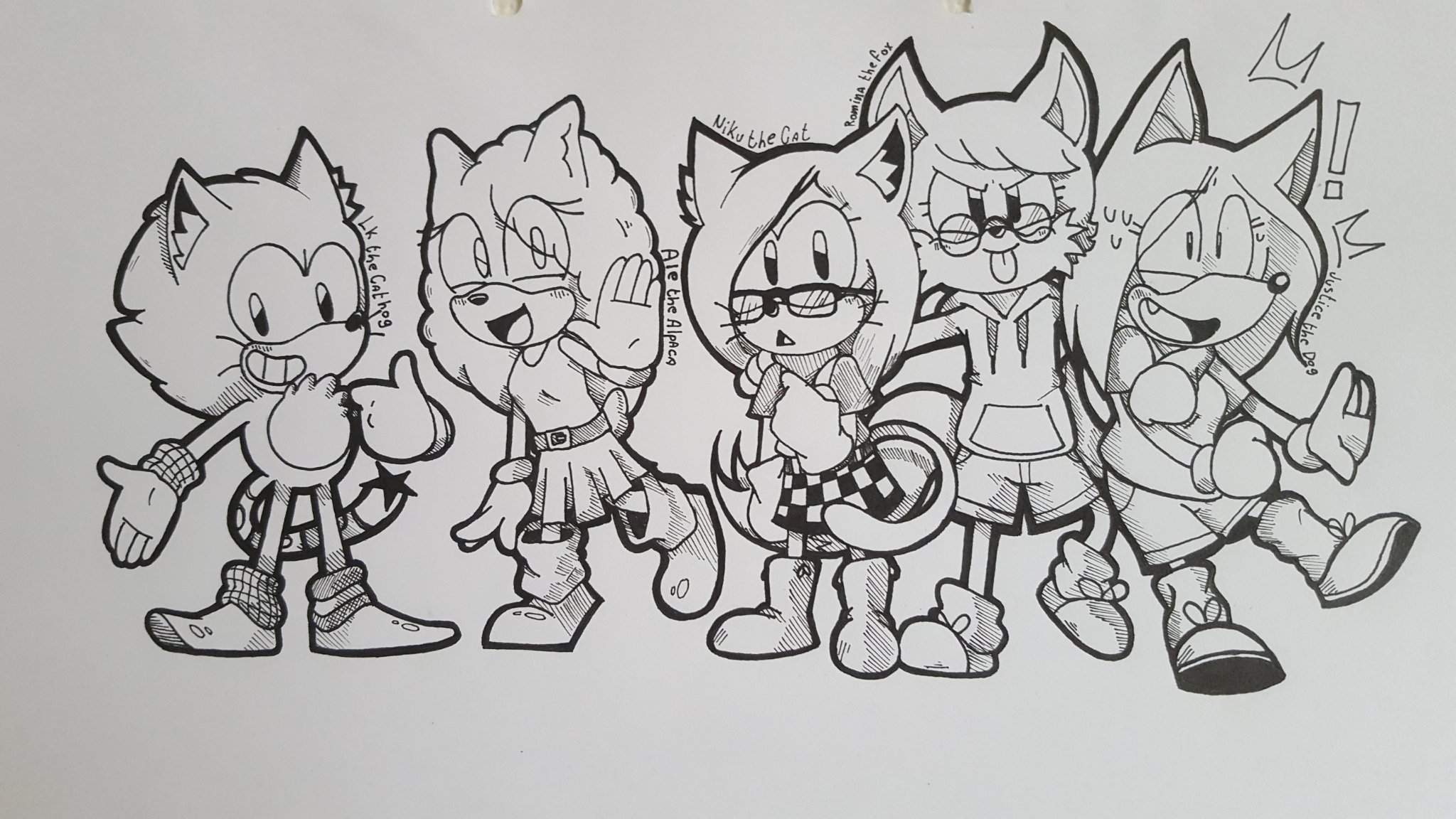 Lk y sus amigos!.<. fan characters/ | Sonic the Hedgehog Español Amino