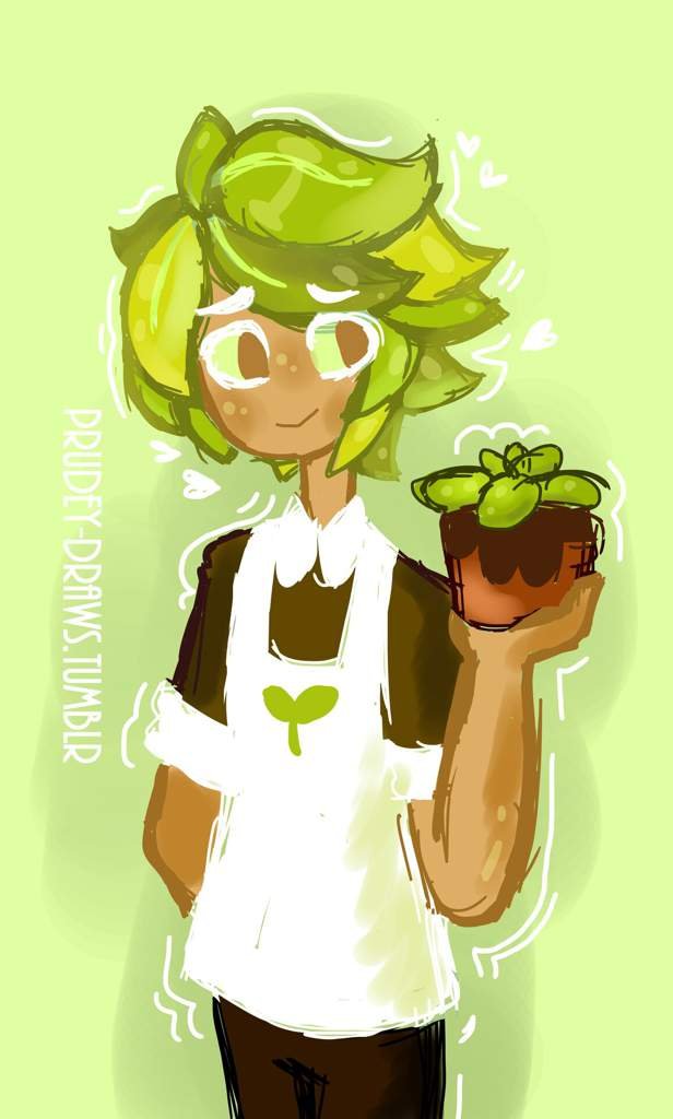 🌱💚Herb Cookie💚🌱 *Cookie Run* Amino