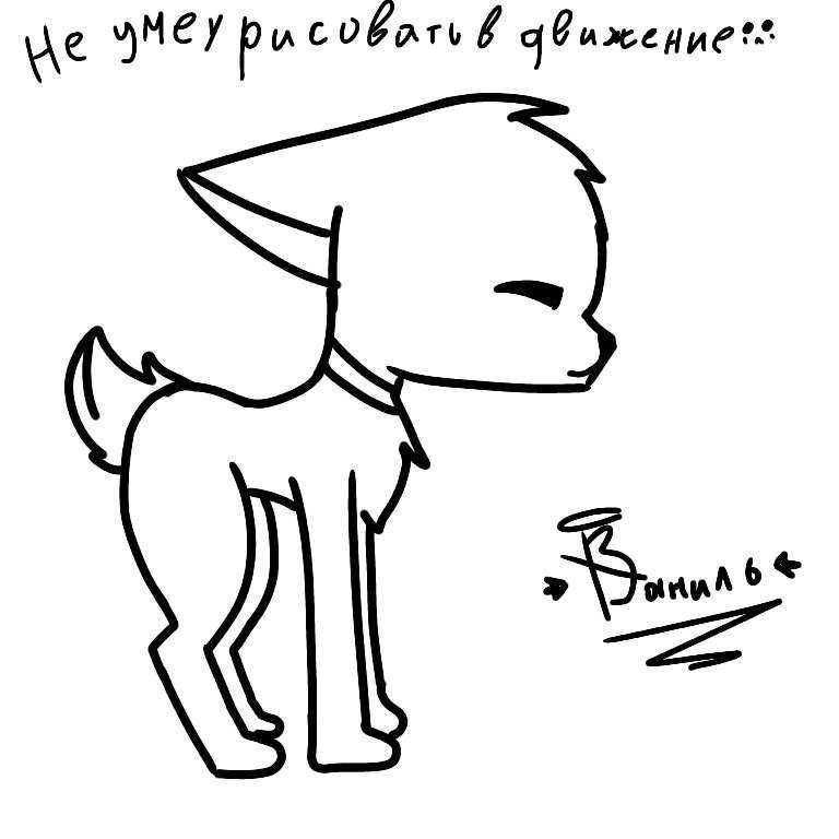 Анкета художника | Кв×КотыВоители×КВ [RUS] Amino