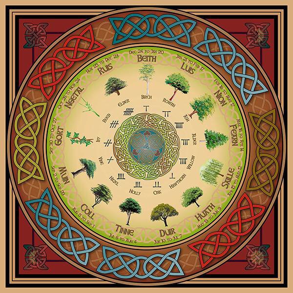 The Celtic Tree Calendar Pagans & Witches Amino