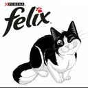 Феликс кот