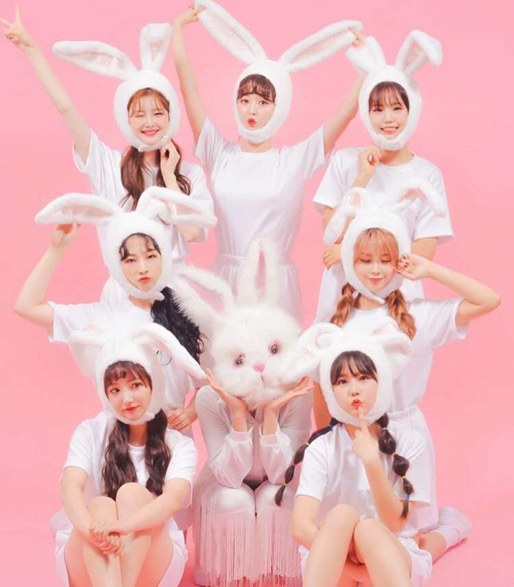 new girl group; pink fantasy K-Pop Amino.