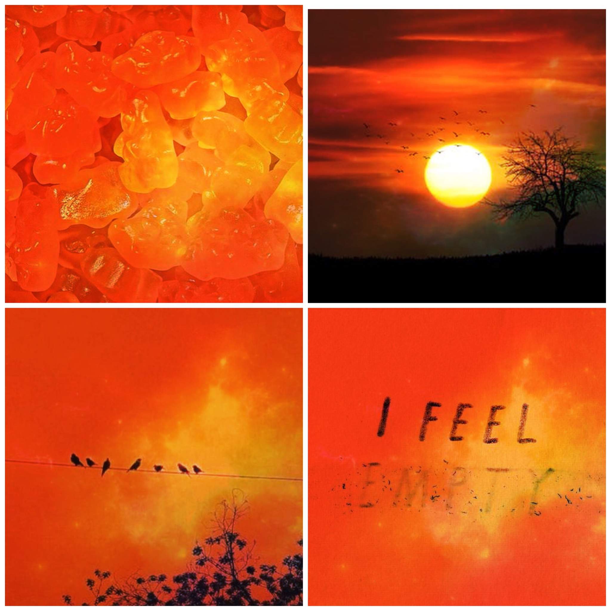 Orange Símply Aesthetíc Amino 9659