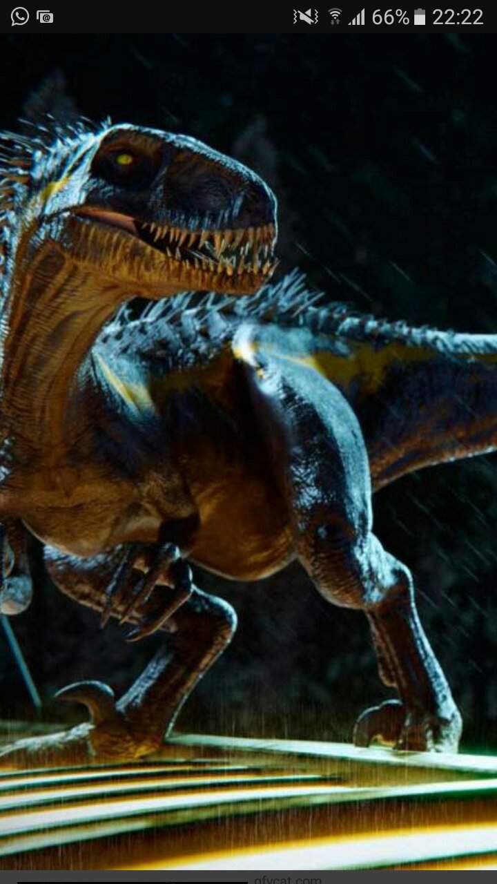 Indoraptor Wiki Jurassic Park Amino Amino