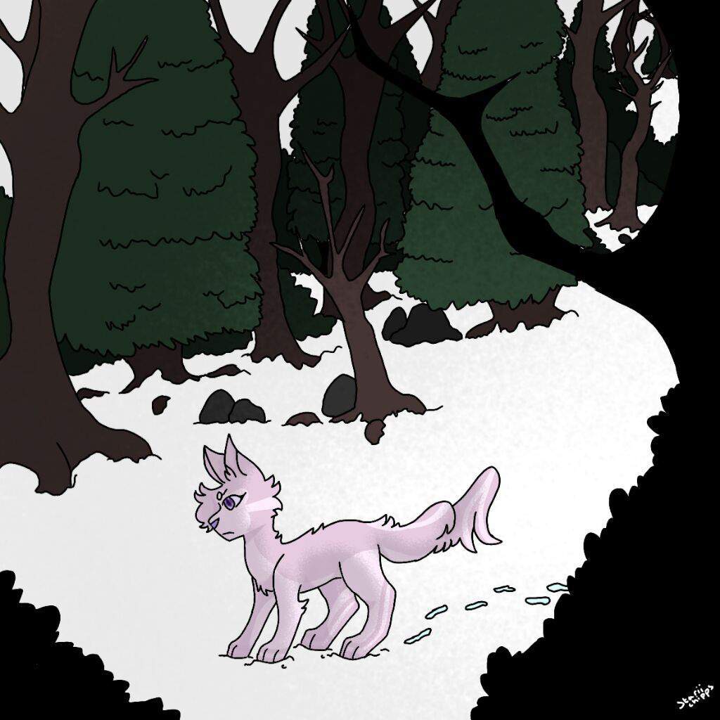 heatherstar-wiki-warrior-cats-into-the-wild-rp-amino