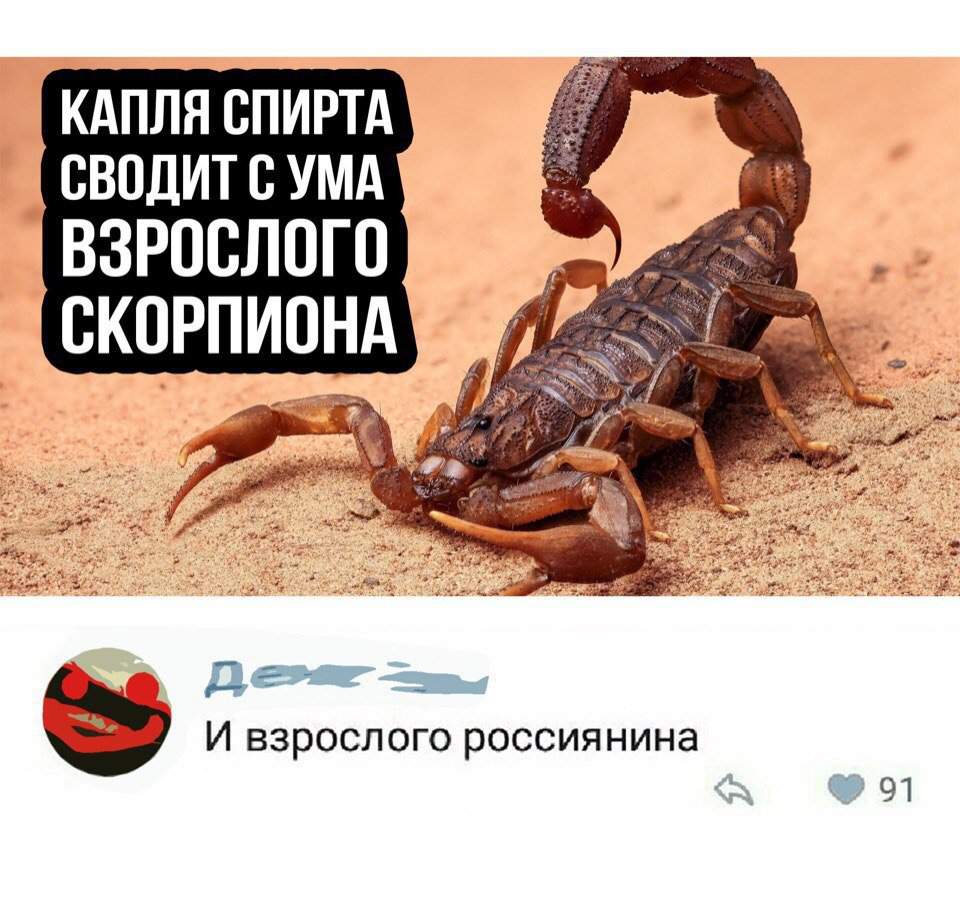 Прикольный Гороскоп Про Скорпиона