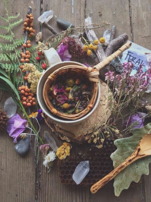 13 Herbs For Luck And Success The Witches Circle Amino