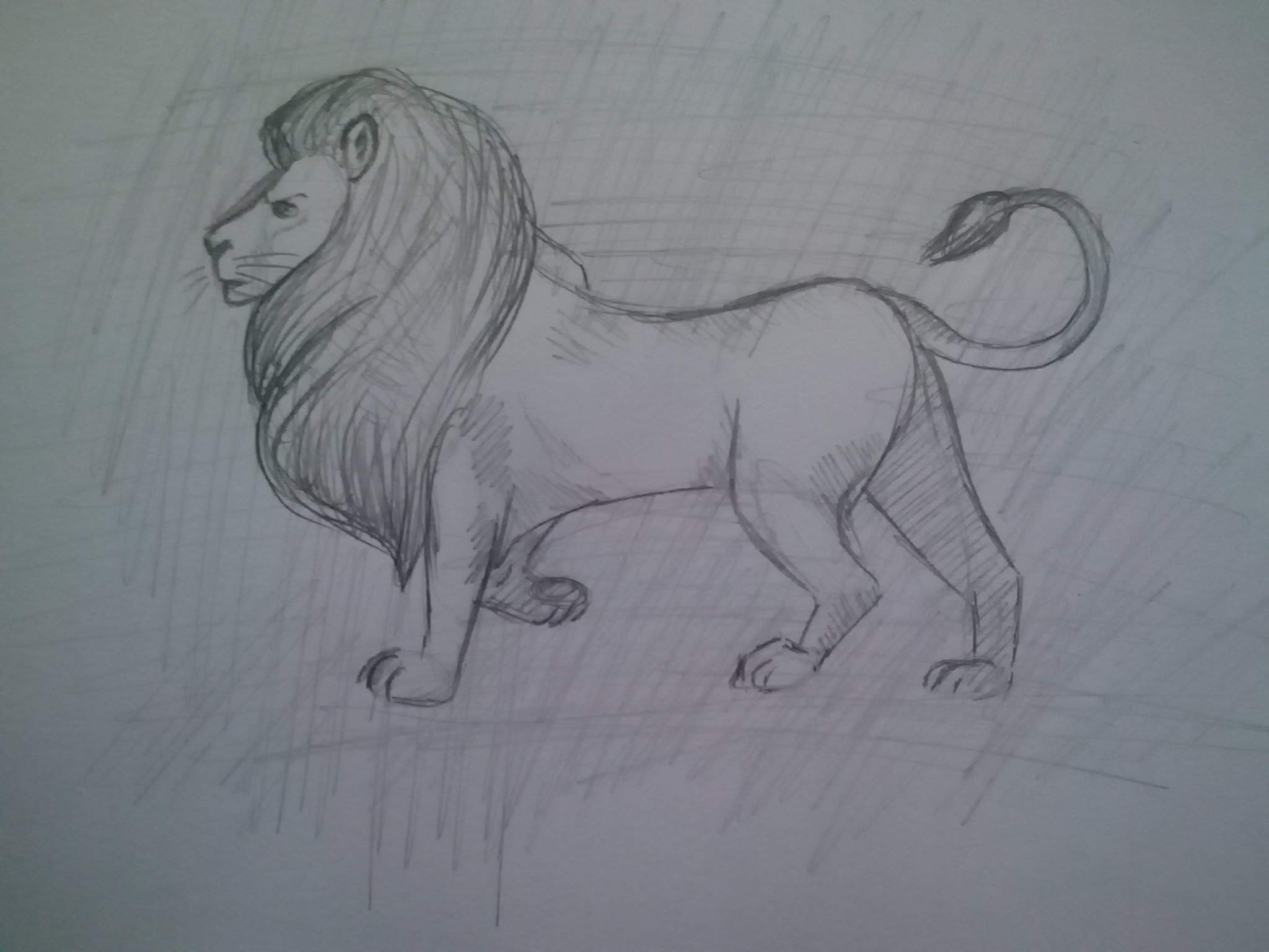 Рисунок Льва и собаки в клетке для срисовки