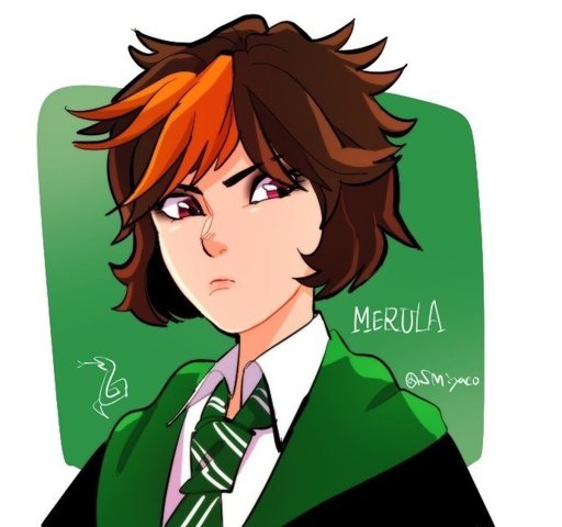 Merula Snyde Wiki Hogwarts Mystery Amino Amino