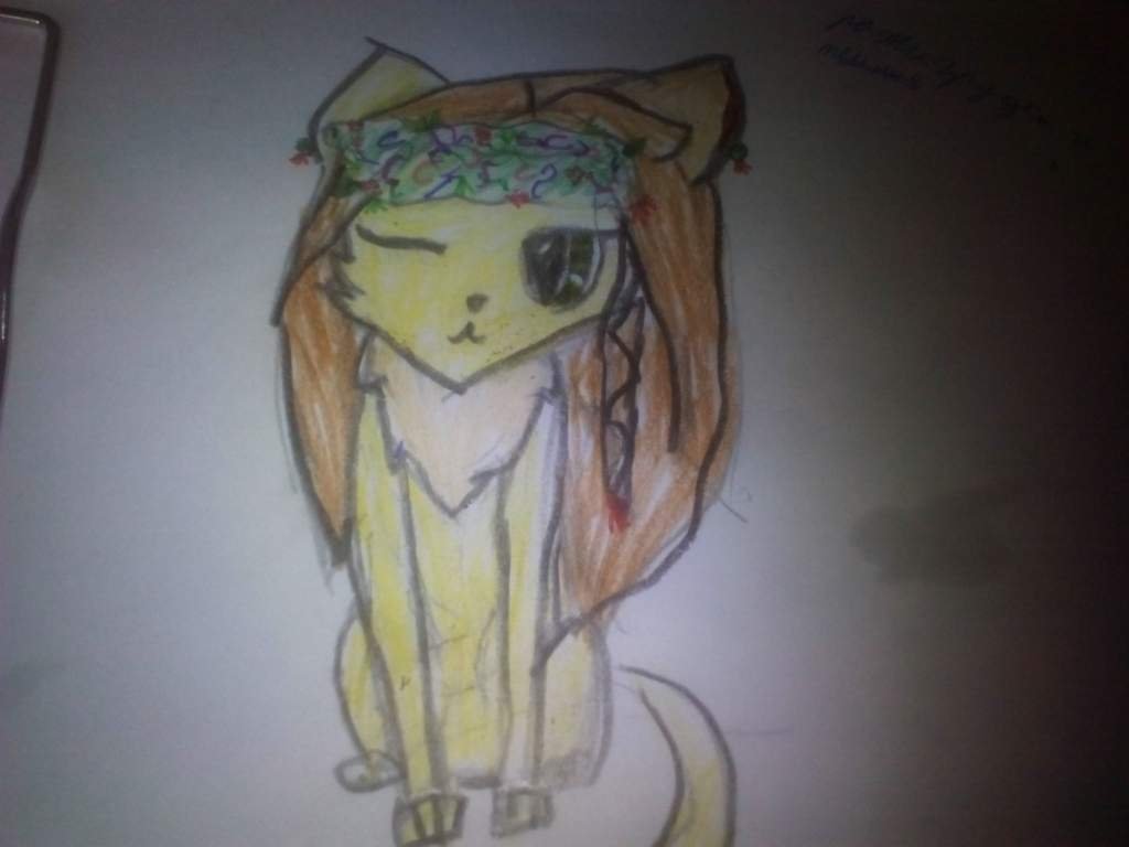 Анкета | Wiki | ꧁°•Коты - Воители•°꧂ Amino