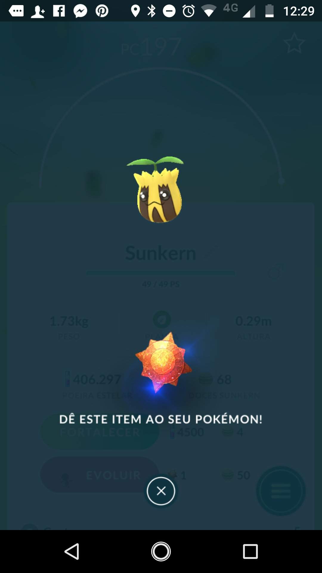 Evolução Da Noite Lindão Pokémon Go Brasil Amino 8346