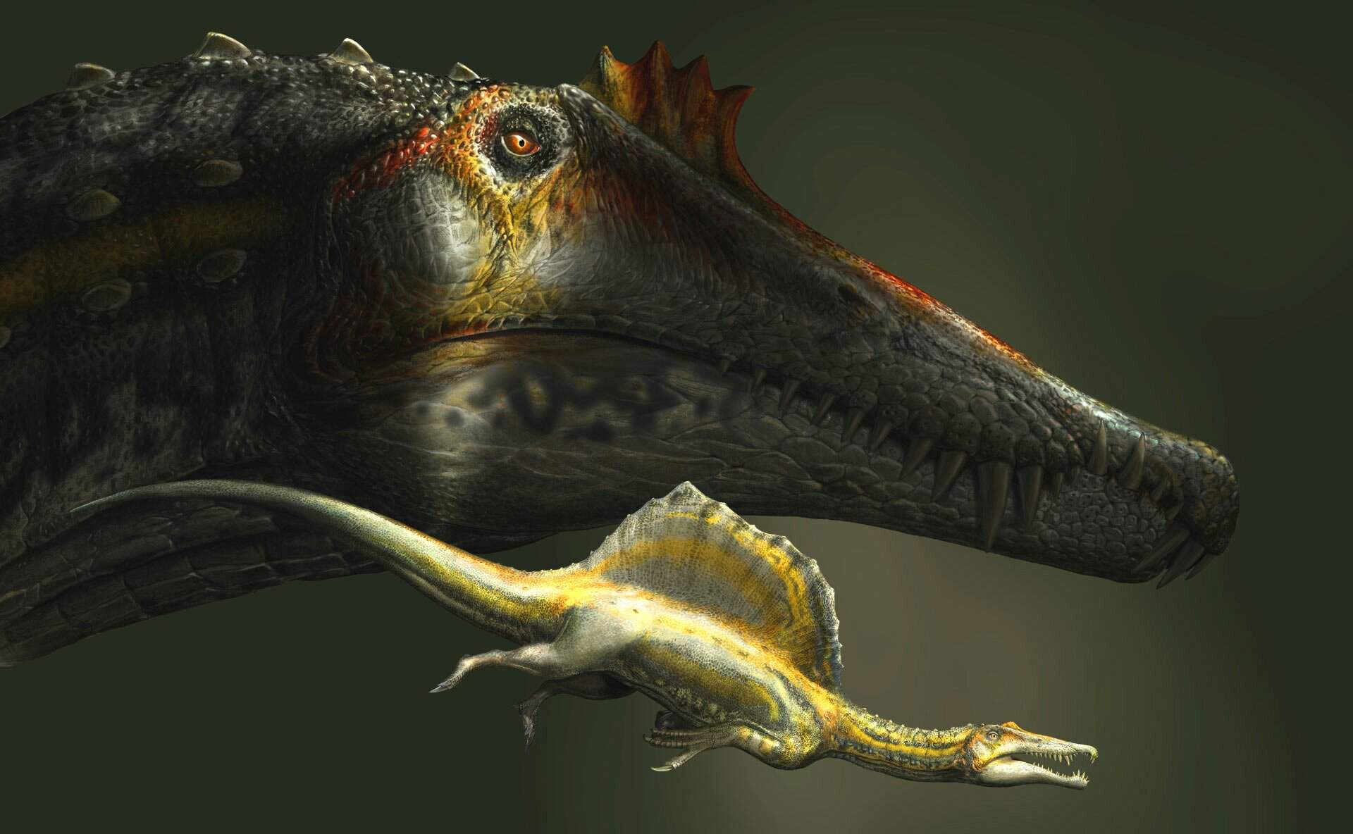 spinosaurus tiptoi