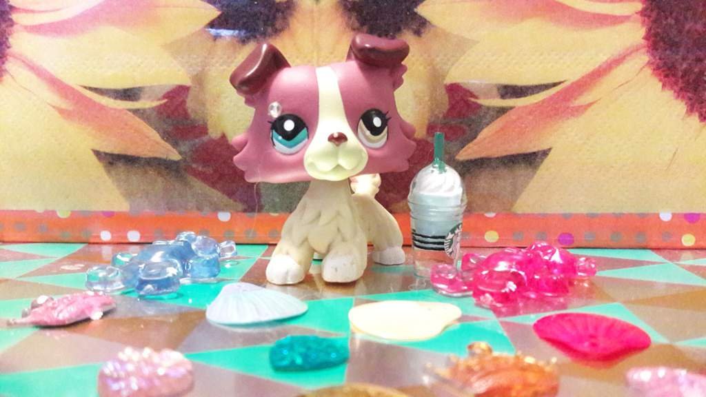 LPS collie | LPS Amino