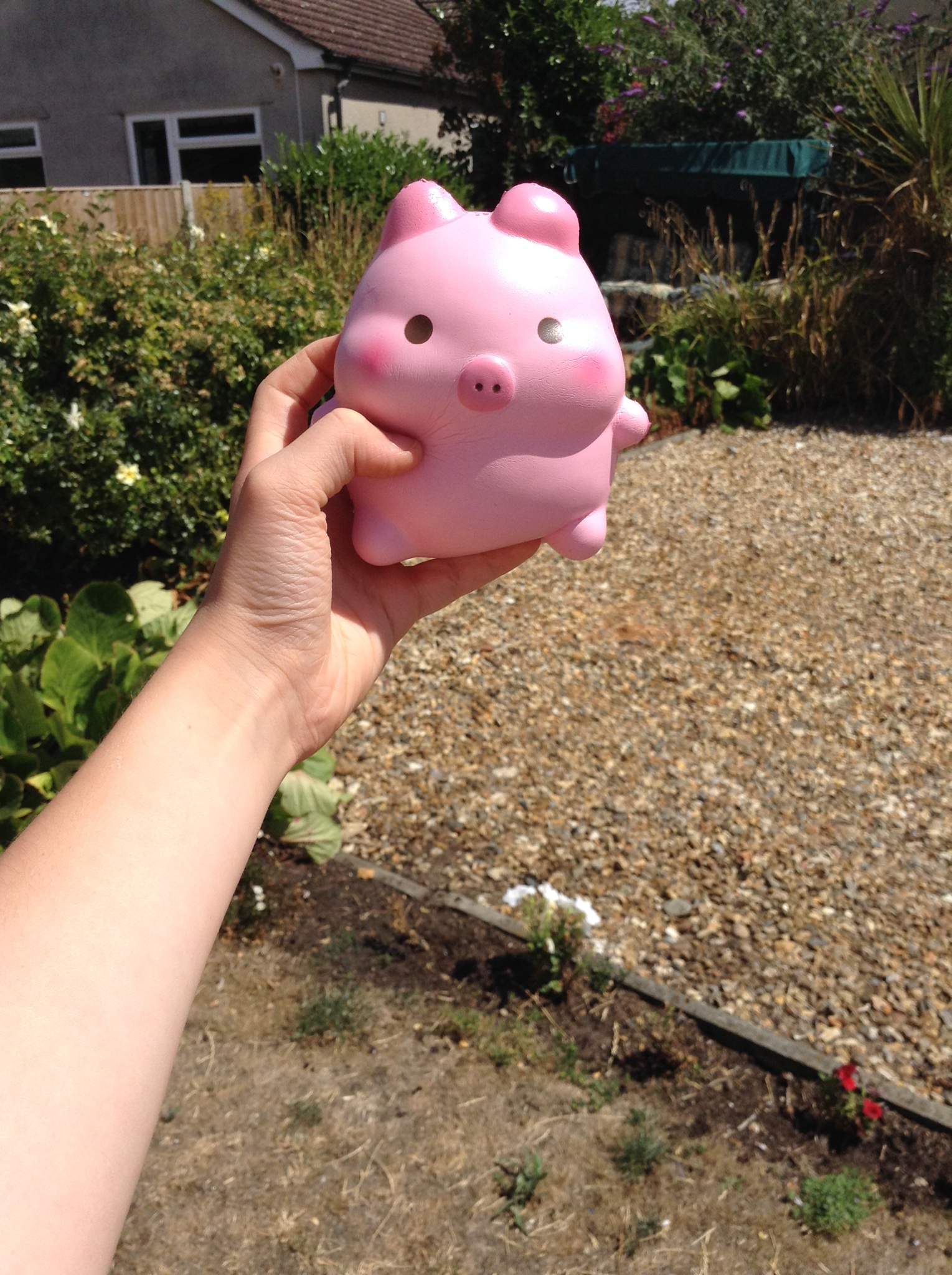 fat pig squishy