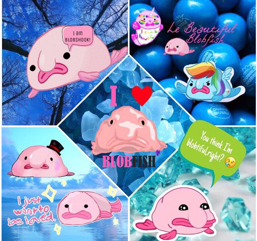 nerdy_hufflepuff703 | BLOBFISH TAKEOVER! Amino nerdy_hufflepuff703 | BLOBFISH TAKEOVER! Amino