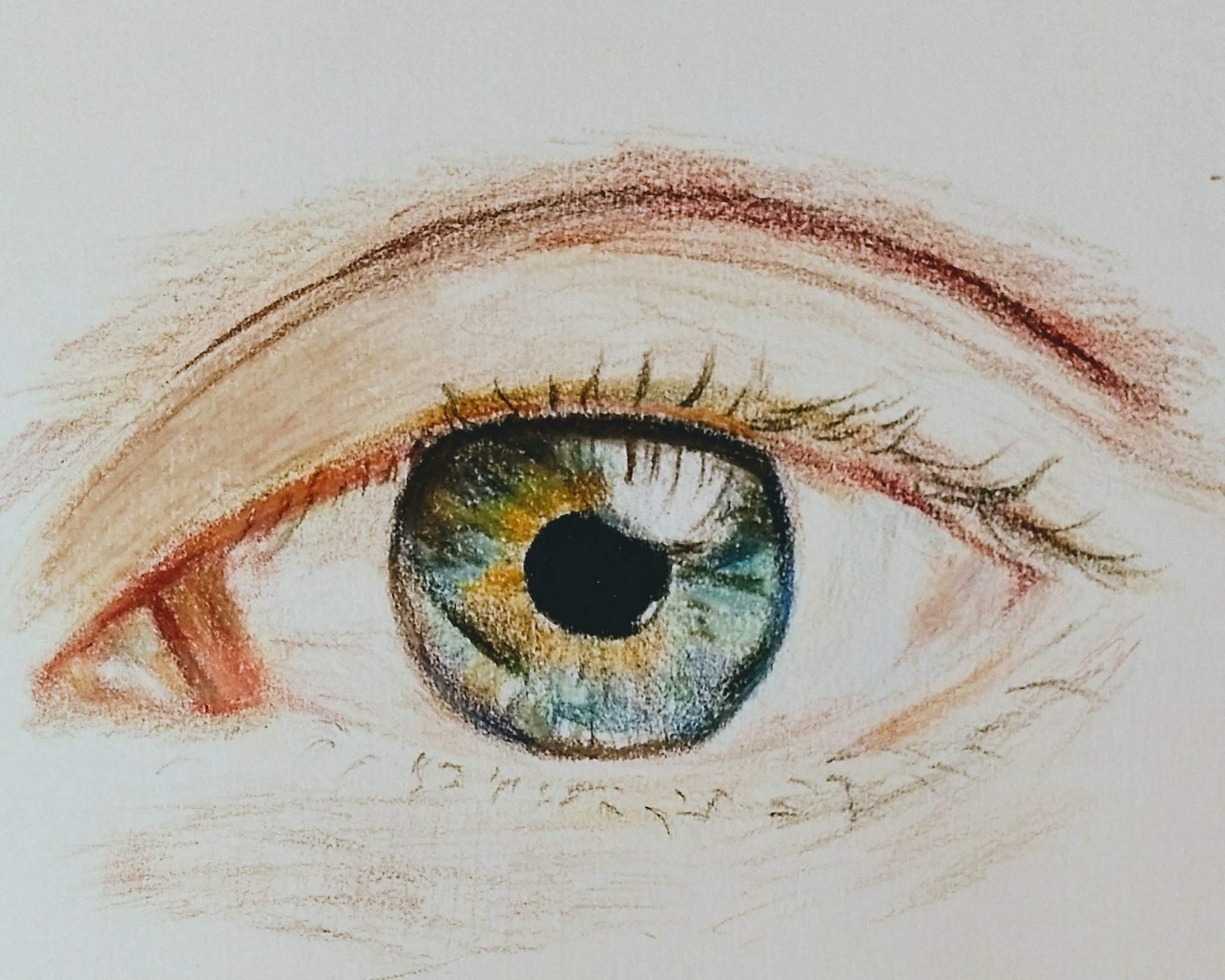 Глаз и изображение