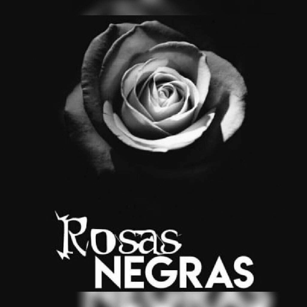 Rosas Negras Wicca Y Paganismo Amino