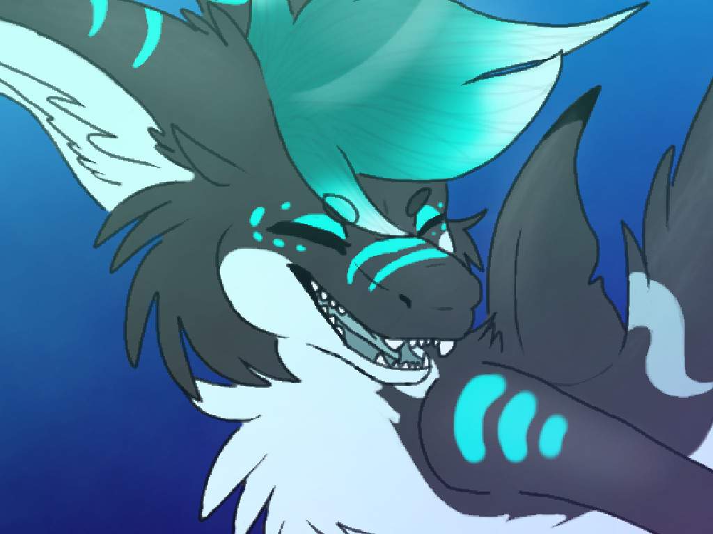 🌊🦈shark Week🦈🌊 Furry Amino