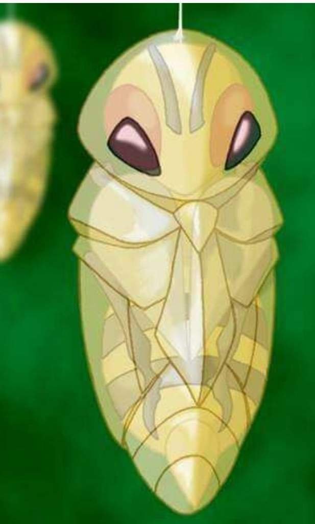 kakuna plush