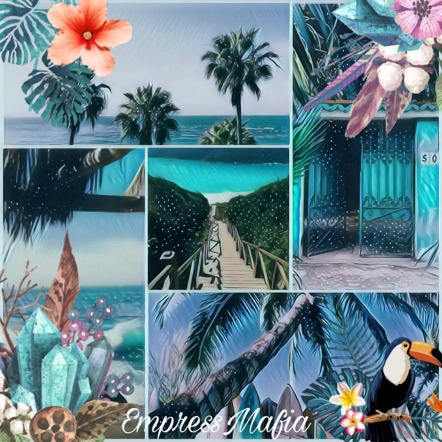 Tropical Aesthetic Aesthetic World Amino Feel free to steal these, i. amino apps