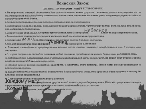Тест коты воители
29
