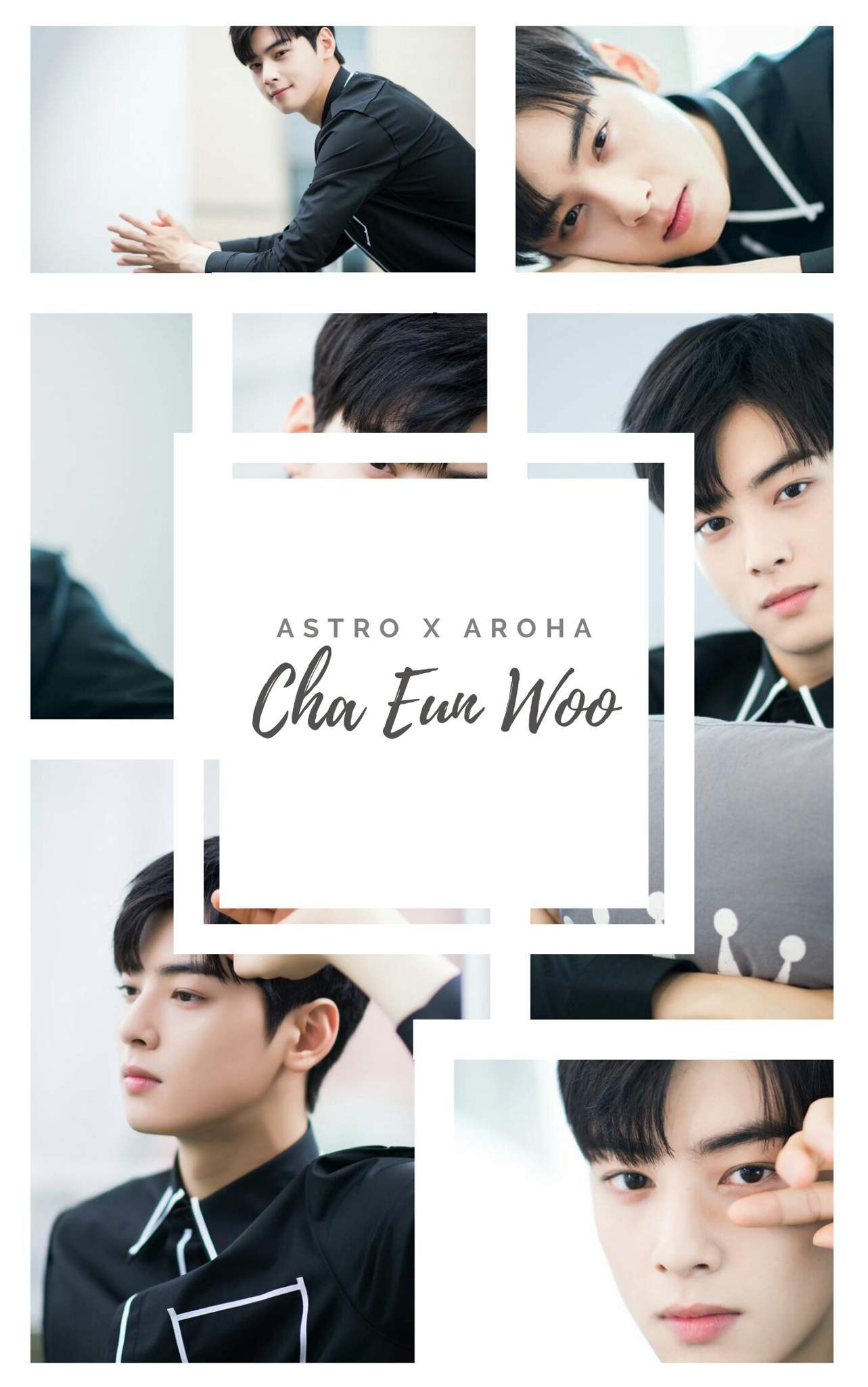 Cha eun woo guapo love dorama coreanos oppa chaeunwoo HD phone  wallpaper  Peakpx
