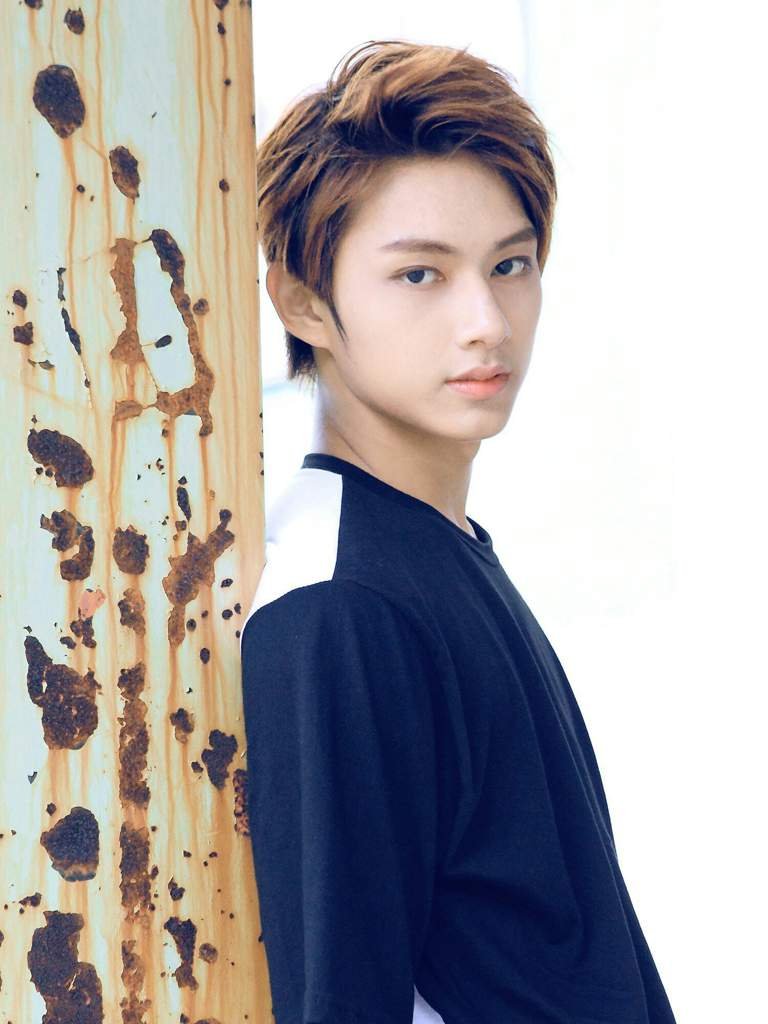 Wen Junhui Wiki City Of Busan Krp Amino