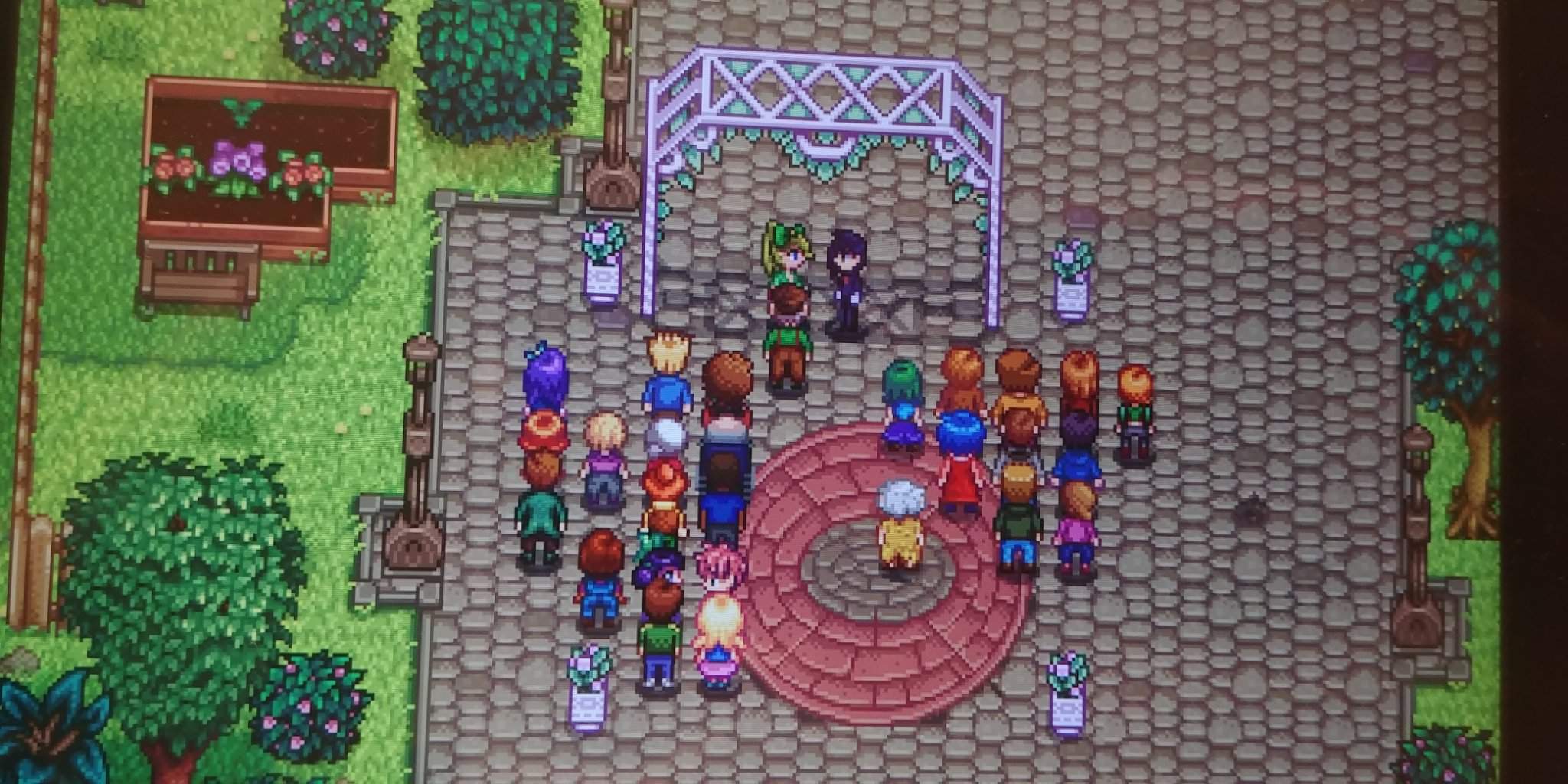 marriage-stardew-valley-amino