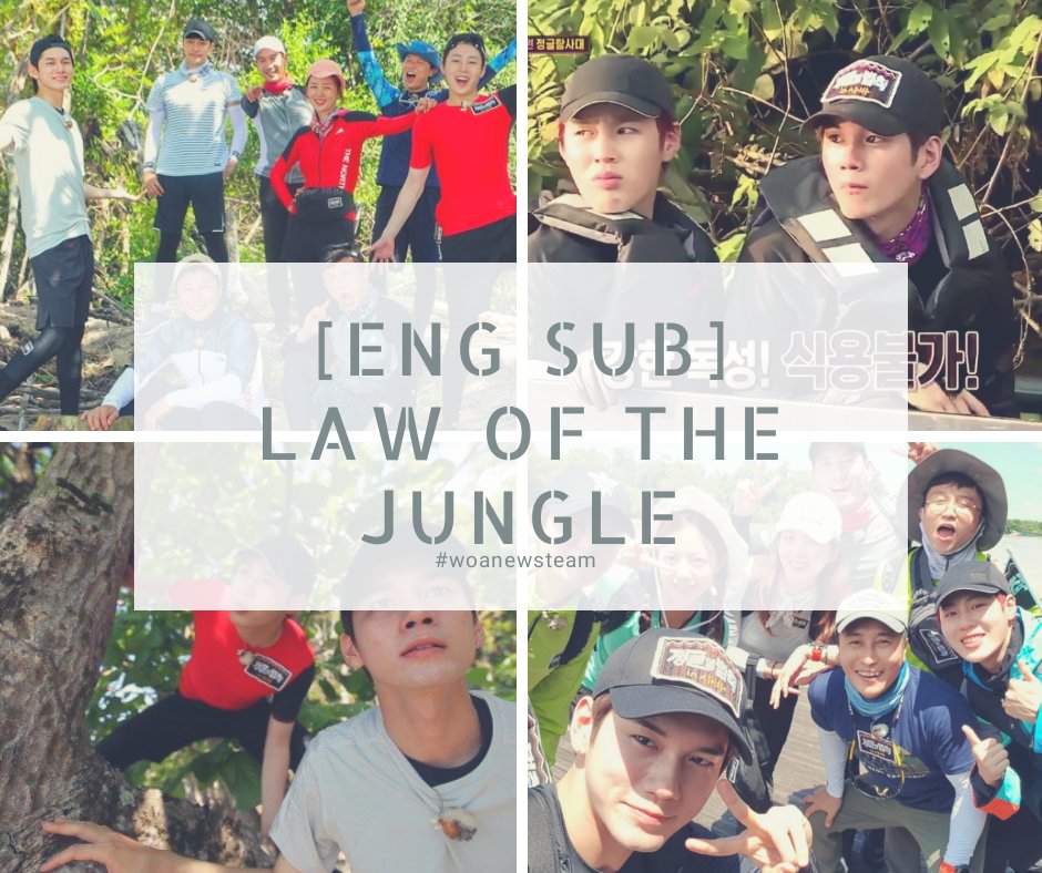 download law of the jungle ep 256