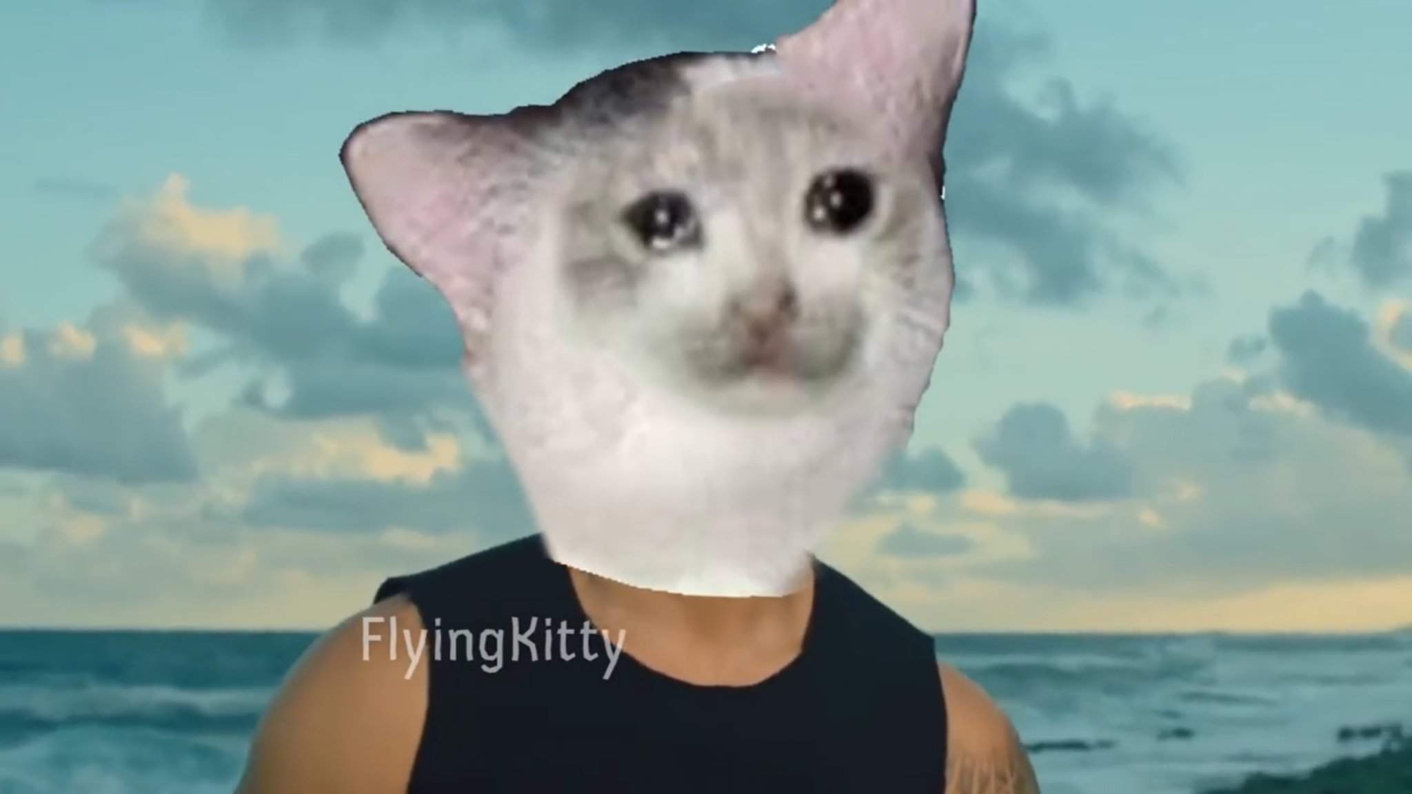 Download Crying Cat Meme Wallpaper | PNG & GIF BASE