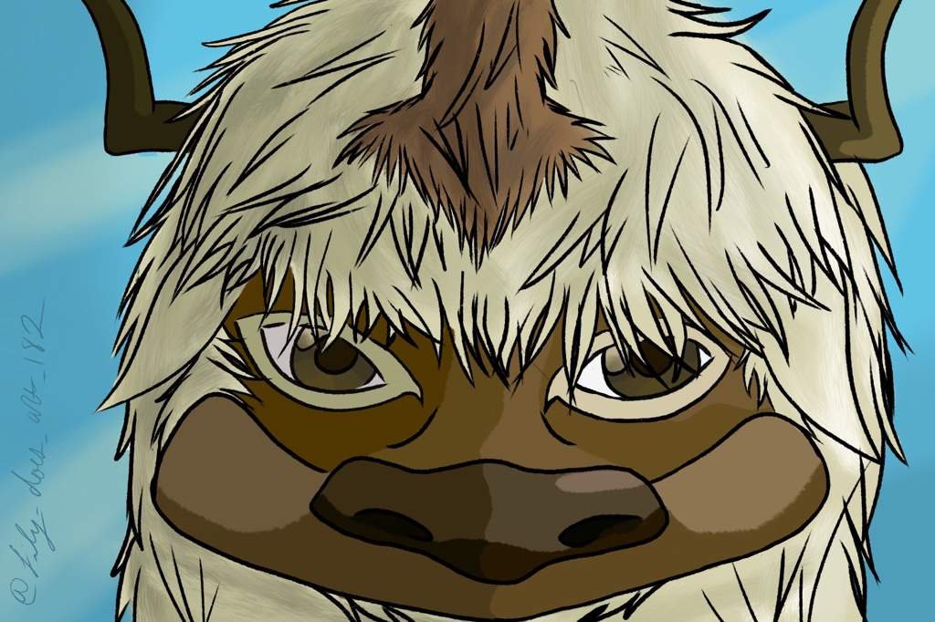 jumbo appa