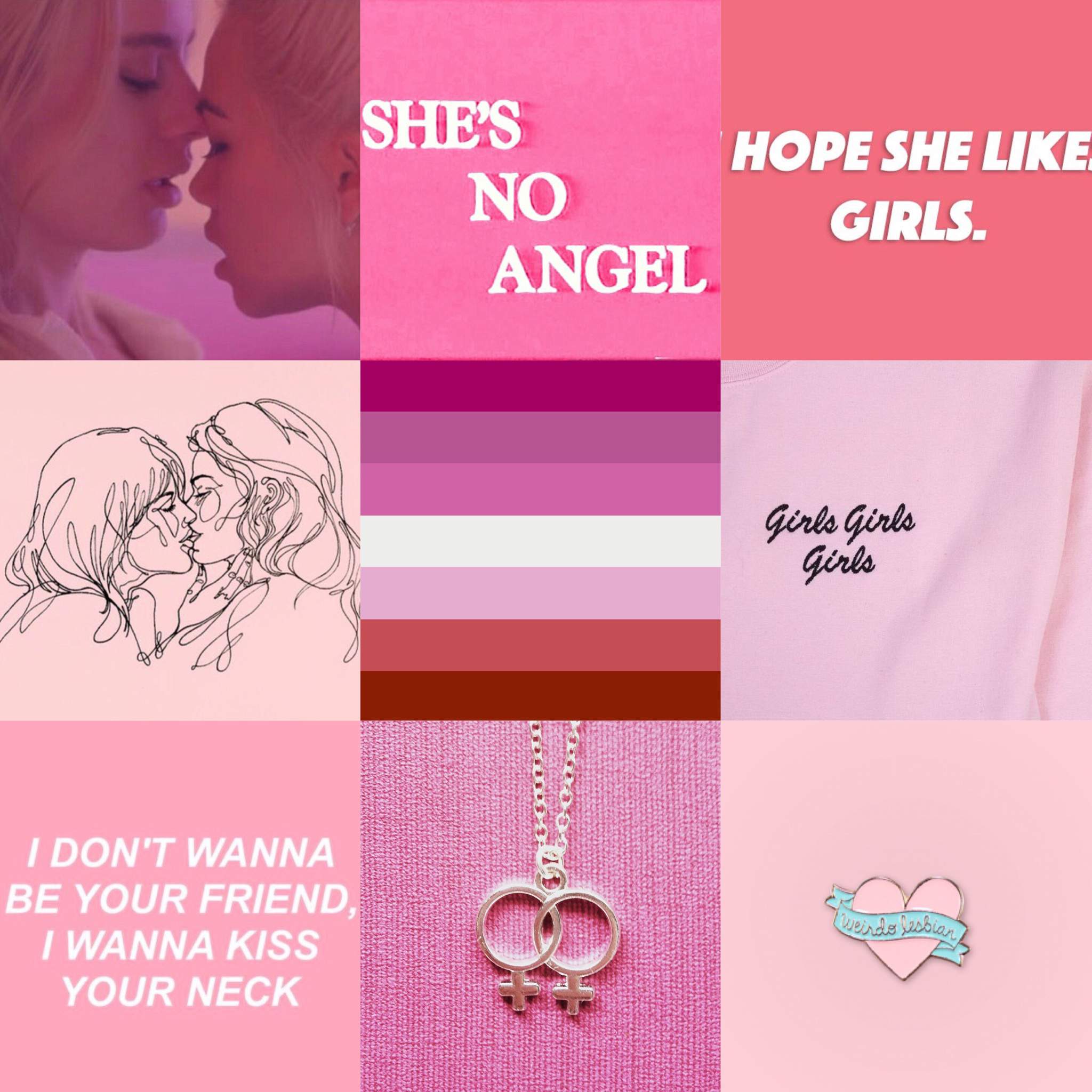 Lesbian Pride Flag Aesthetic Lesbians Unite Amino