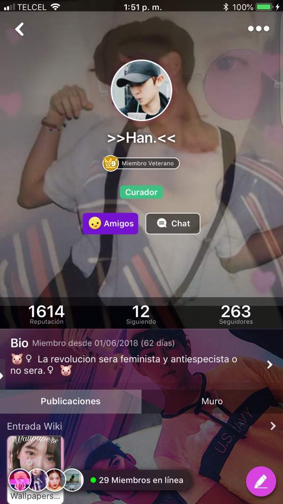 Han Wiki 𓏲♡̸audios Subliminales Amino Amino 