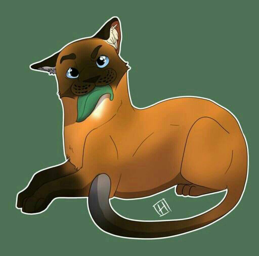 Jaypaw Wiki Warrior Cats 5 Clans Amino