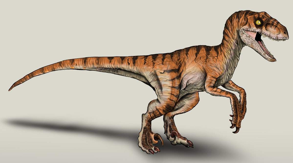 jurassic park tiger velociraptor