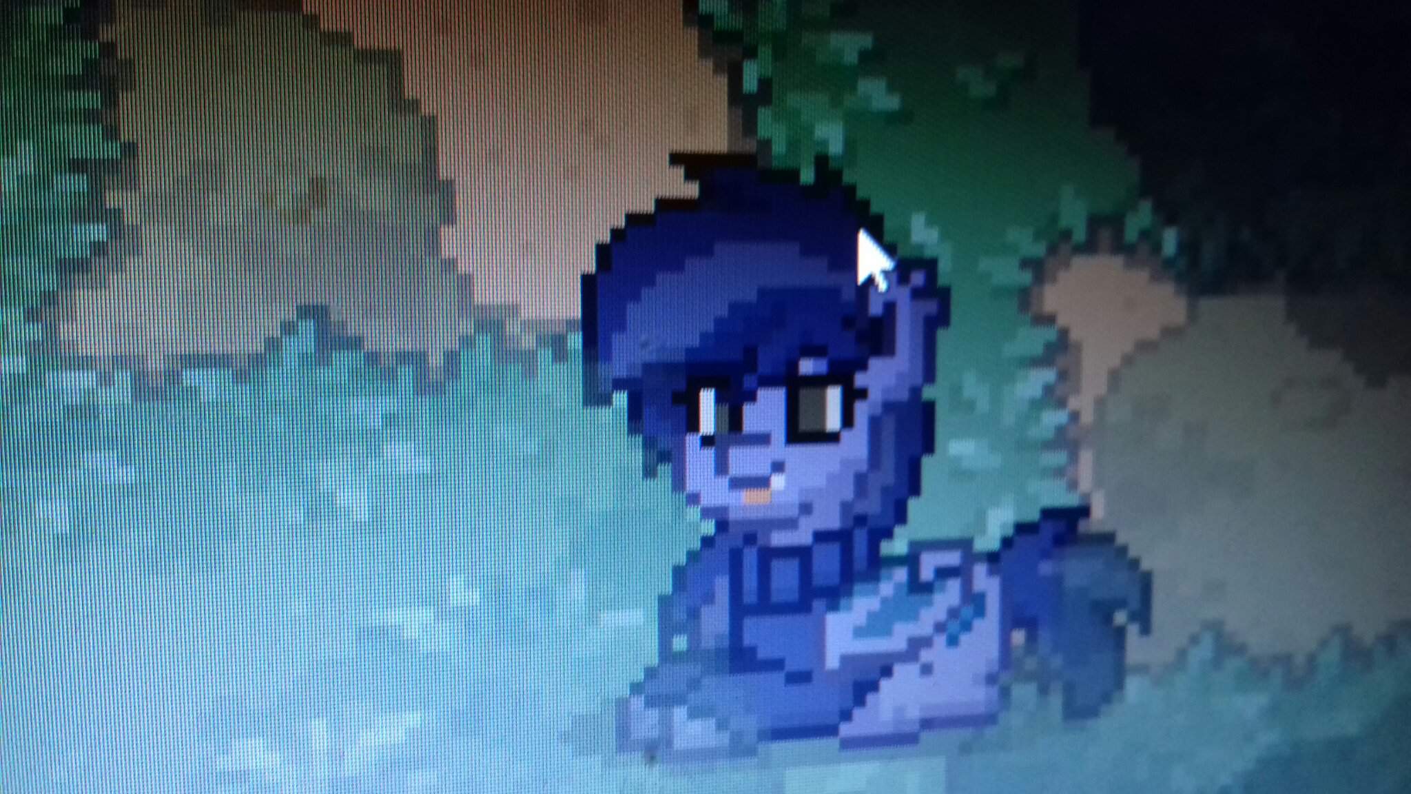 W Wiki Pony Town Amino