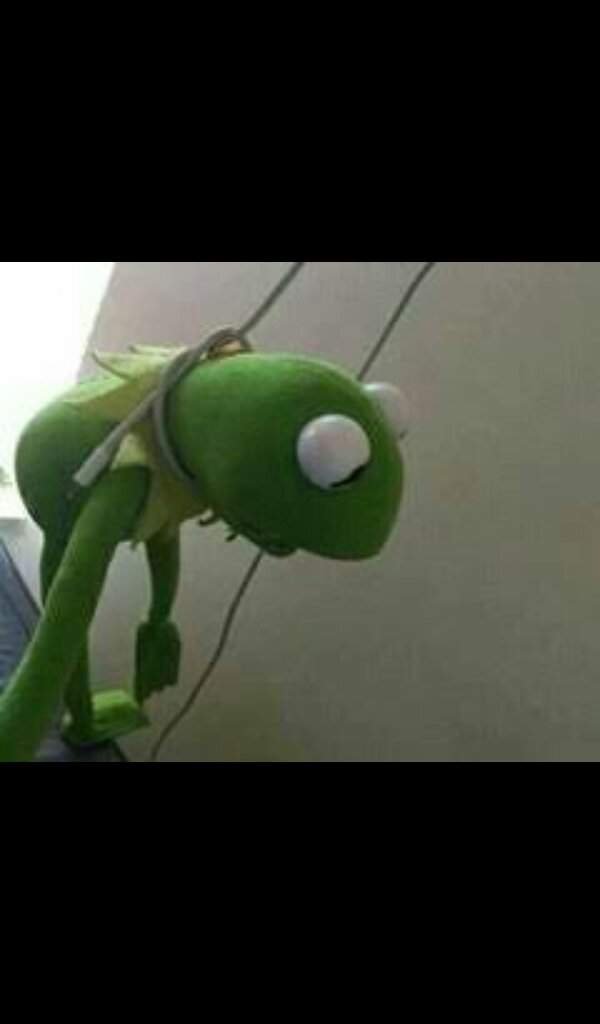 Kermit the suicide frog Wiki Efaru New Region of Pokémon Amino