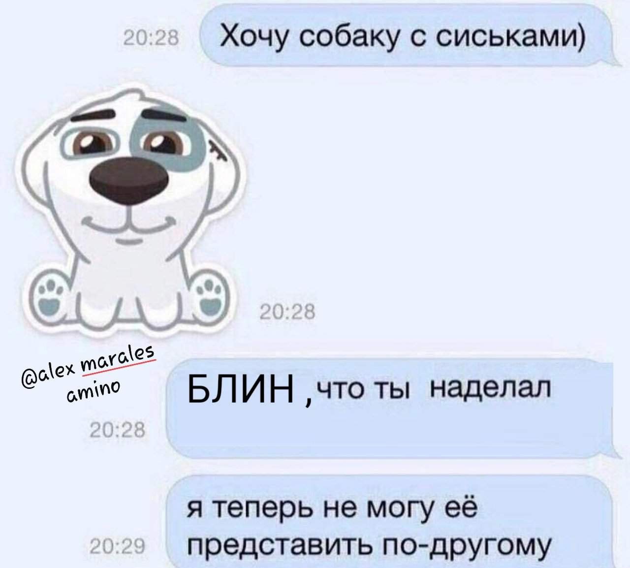 ВКОНТАКТЕ приколы