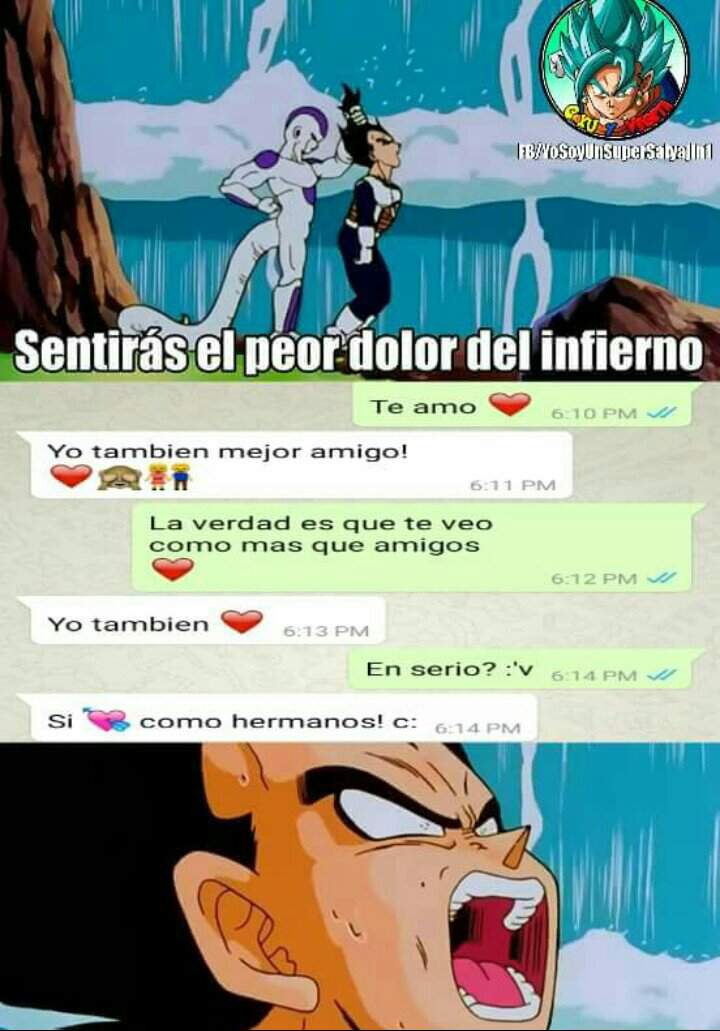 Pobre Vegeta Dragon Ball Espa Ol Amino