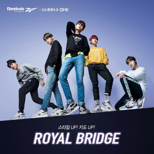 Reebok, Daily sneakers 'Royal Bridge 