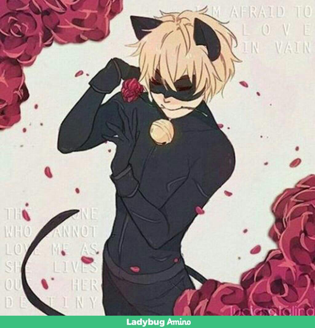 Семья кото баг 🐞 Russian Miraculers 🐞 Amino 