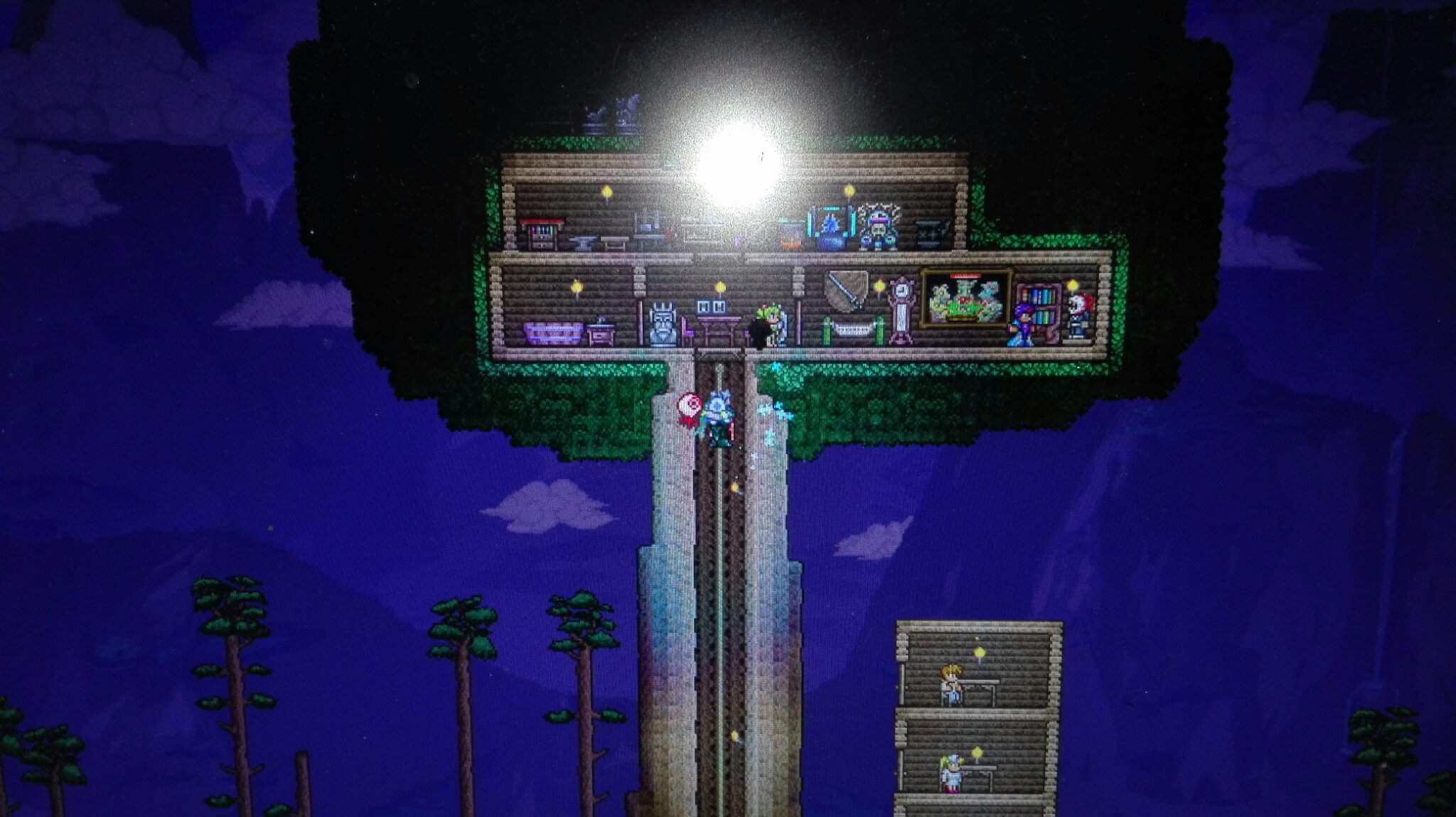 Terraria дом в дереве фото 95