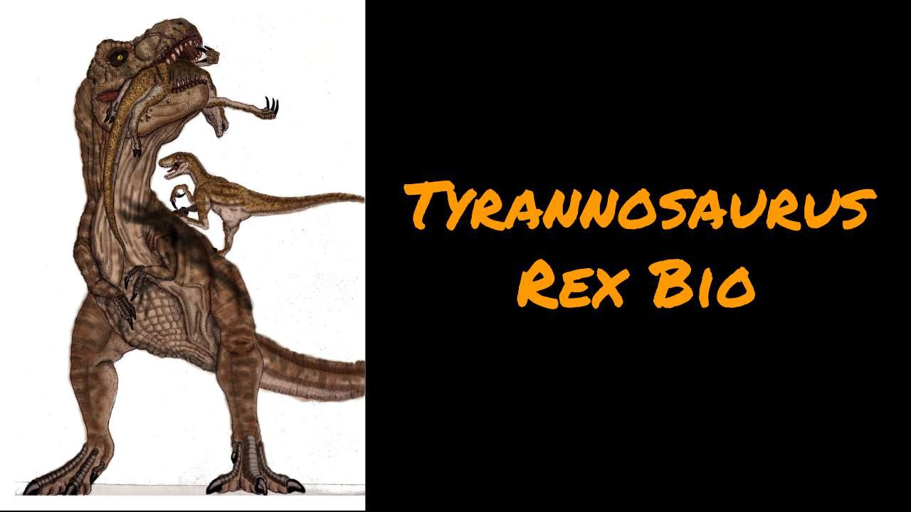 Jp Jw Tyrannosaurus Rex Bio Jurassic Park Amino
