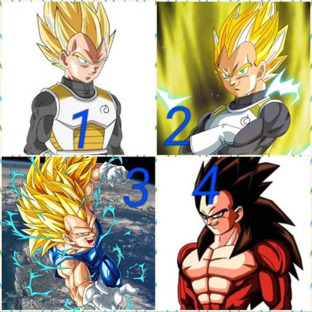 Vegeta S Formen Wiki Dragonball Amino