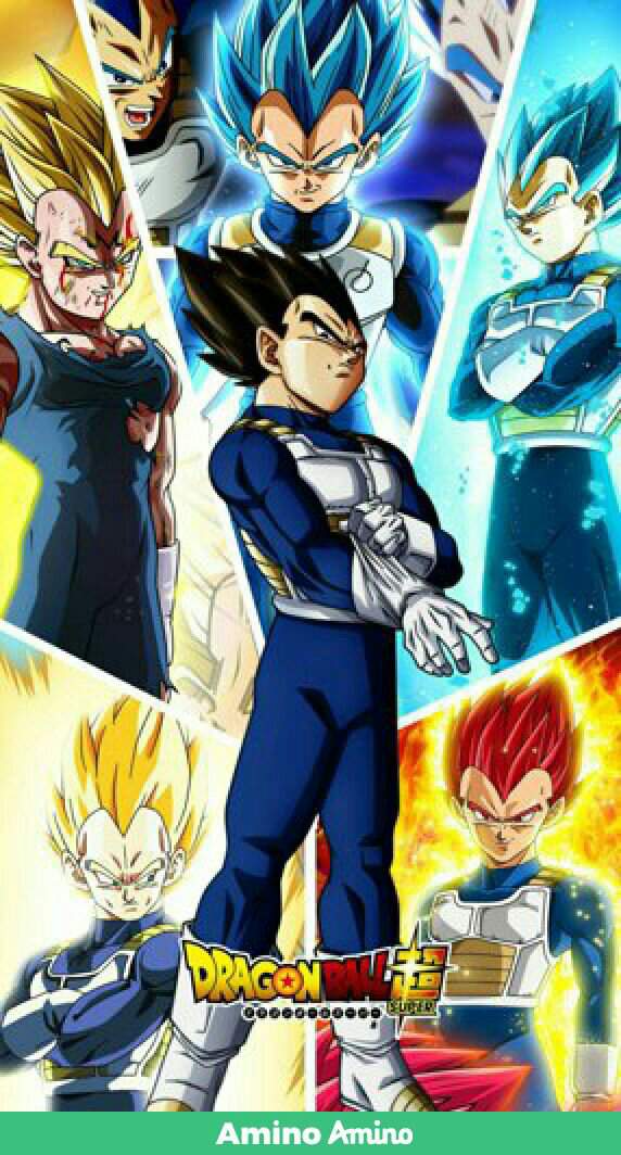 Vegeta, O Principe Dos Sayajins | Wiki | Dragon Ball Super Oficial™ㅤ Amino