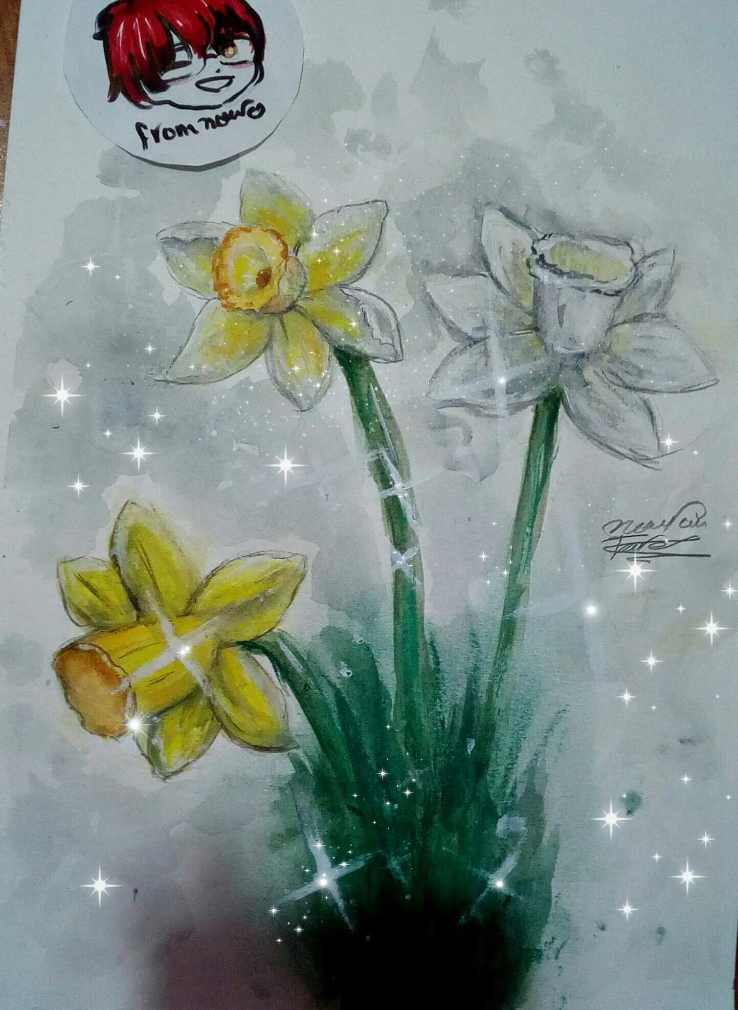 رسمه ومعلومه النرجس الفن والرسم Amino