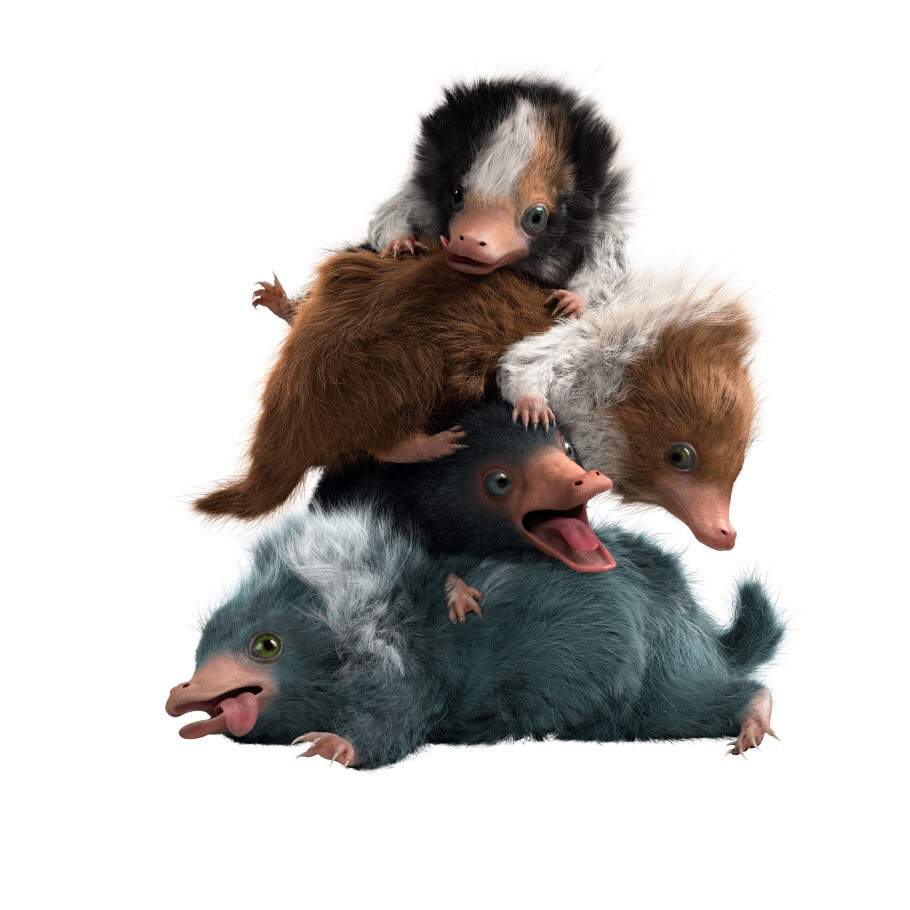 stuffed baby niffler