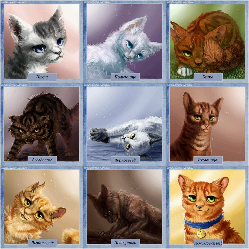Коты Воители и их названия