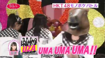 Sakura S Horse Mask K Pop Amino