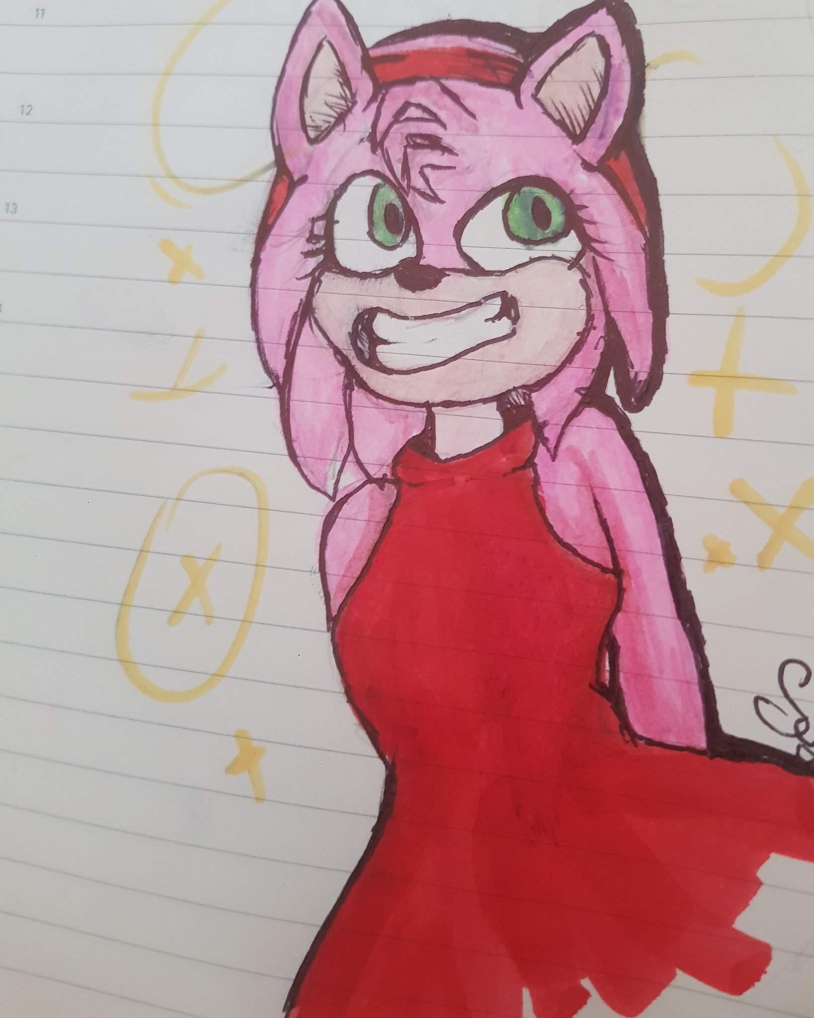 Amy Rose Sonic Alternate Universe Amino 